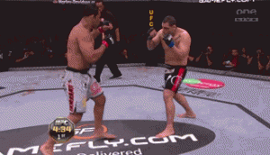 Funny UFC 110 Clips and GIFs For Nogueira vs Velasquez Event | MMA Fight