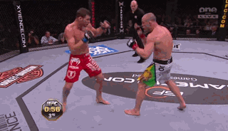 Wandy trips Bisping 2